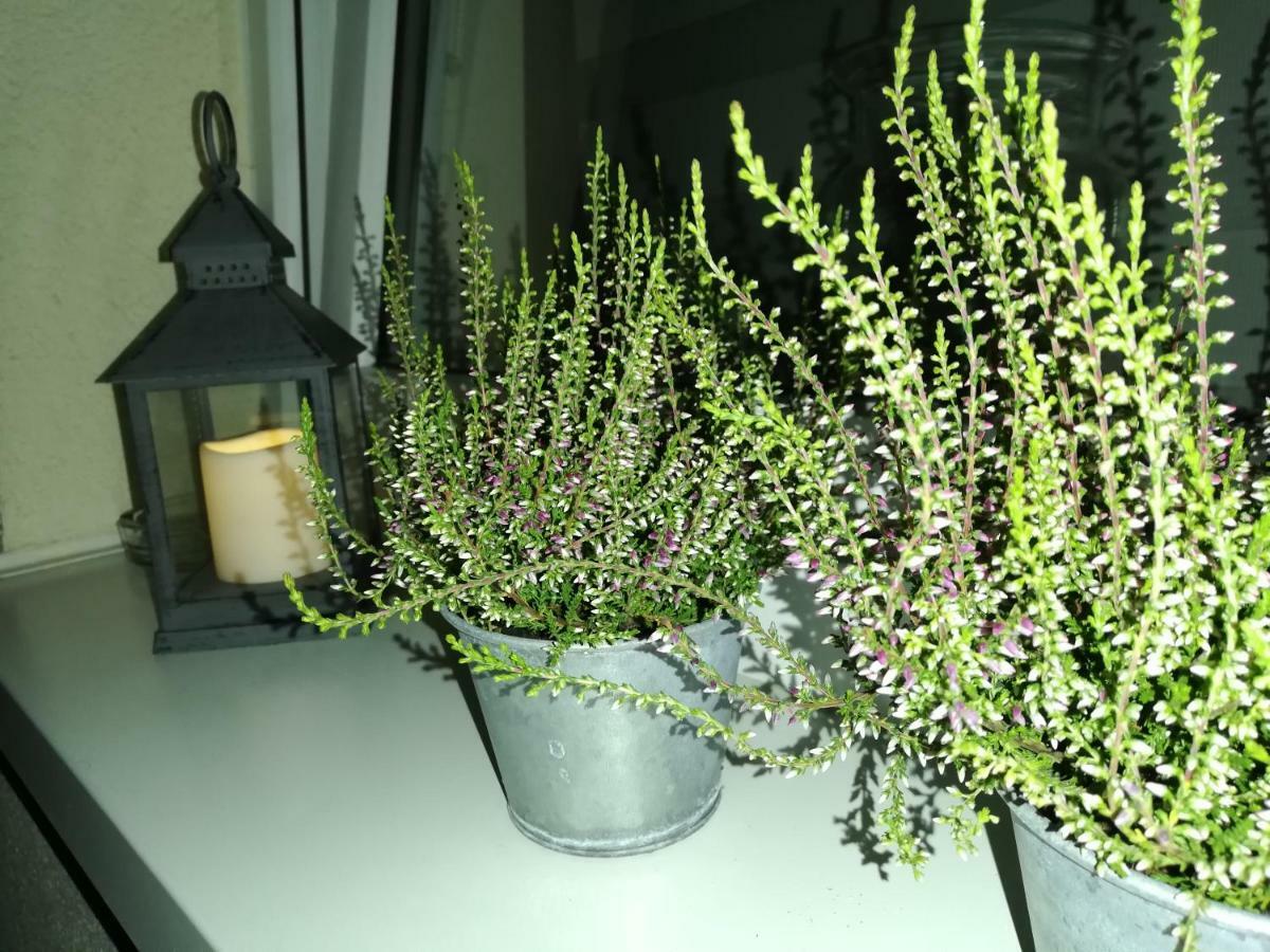 זיילונה גאורה Papaver Apartament מראה חיצוני תמונה